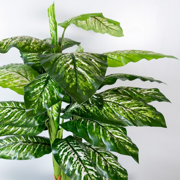 Kunstplant Dieffenbachia 100 cm blad