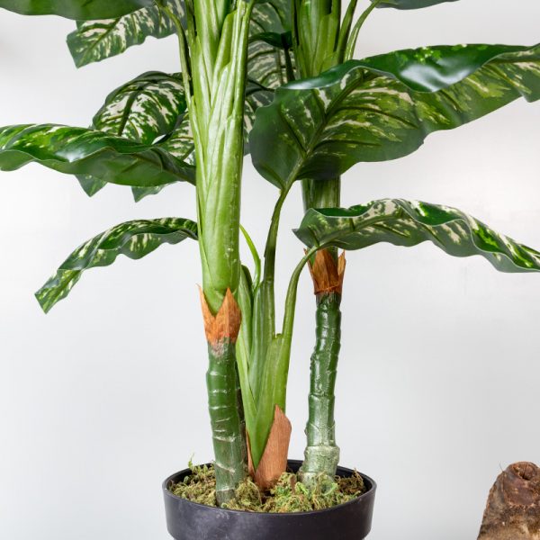 Kunstplant Dieffenbachia 100 cm stam