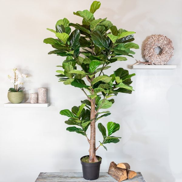 Kunstplant Ficus Lyrata 190 cm
