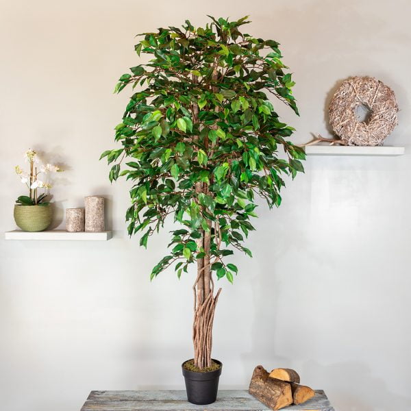 Kunstplant Ficus benjamina 180