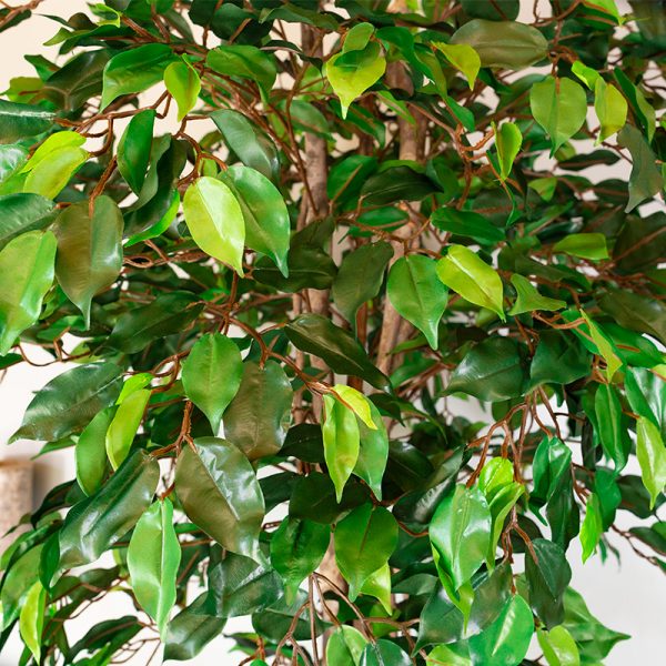 Kunstplant Ficus benjamina 180 blad