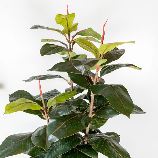 Kunstplant Ficus elastica 130 cm blad