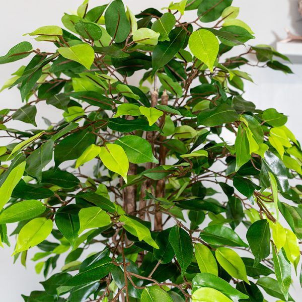 Kunstplant Ficus groen 120 cm blad