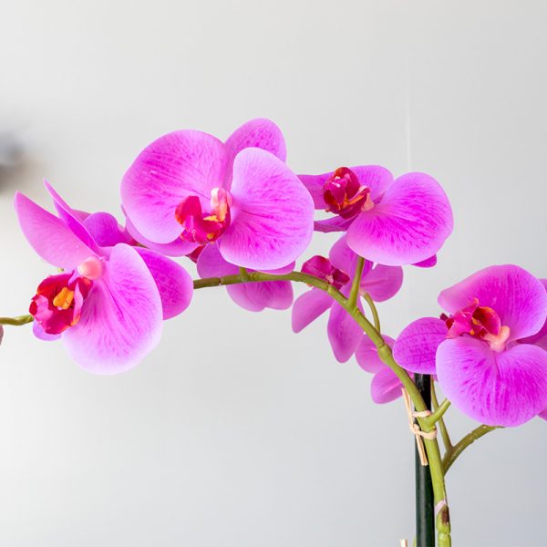 Kunstplant Orchidee 2 tak roze blad