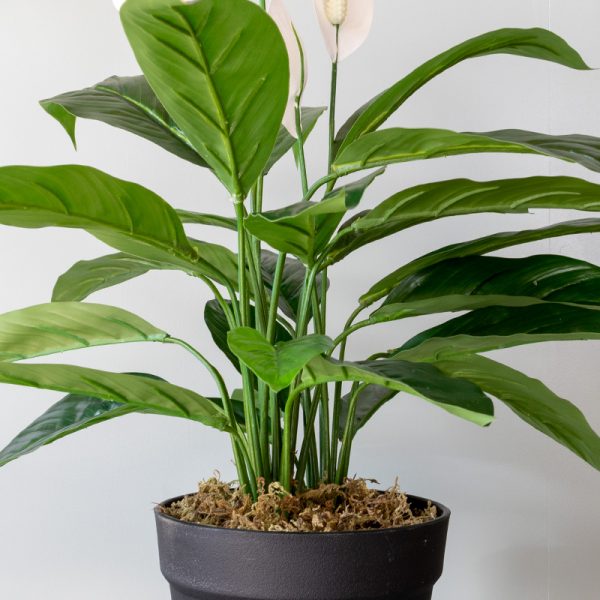 Kunstplant Spathiphyllum 55 cm stam