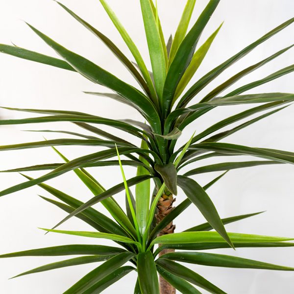 Kunstplant Yucca 120 cm blad