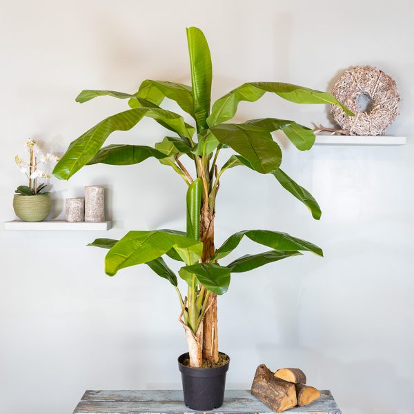 Kunstplant bananenplant 170 cm
