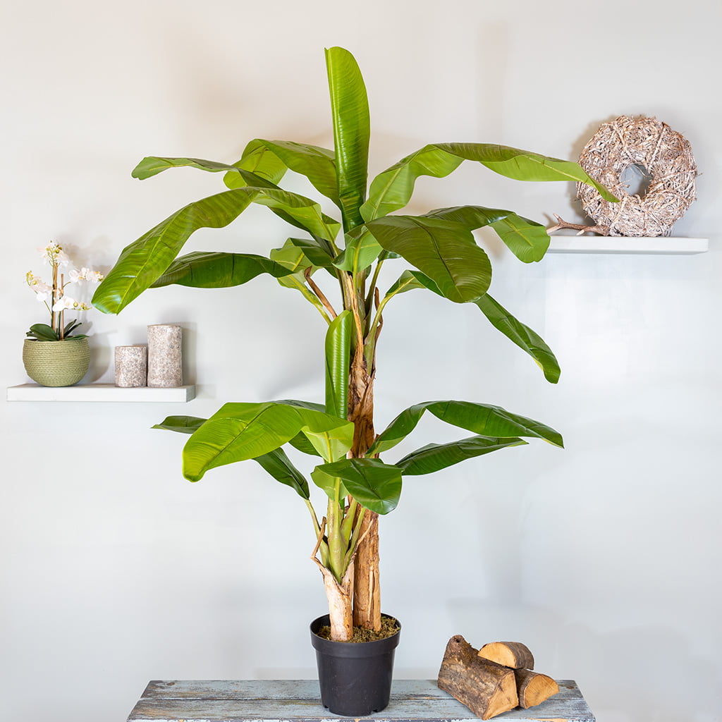 Kunstplant bananenplant 170 cm