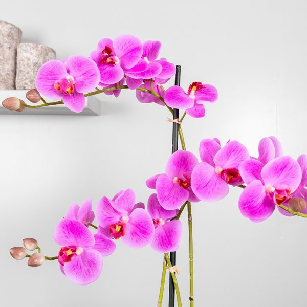 Kunstplant Orchidee Phalaenopsis 3-tak roze 63 cm bloem