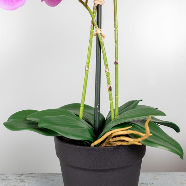 Kunstplant Orchidee Phalaenopsis 3-tak roze 63 cm stam