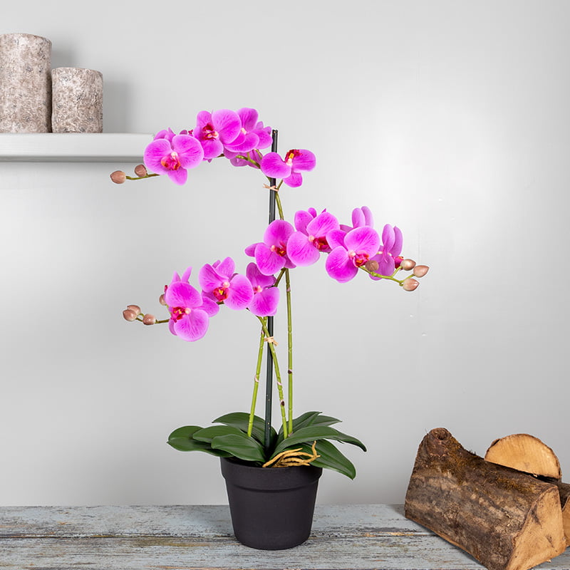 Kunstplant Orchidee Phalaenopsis 3-tak roze 63 cm