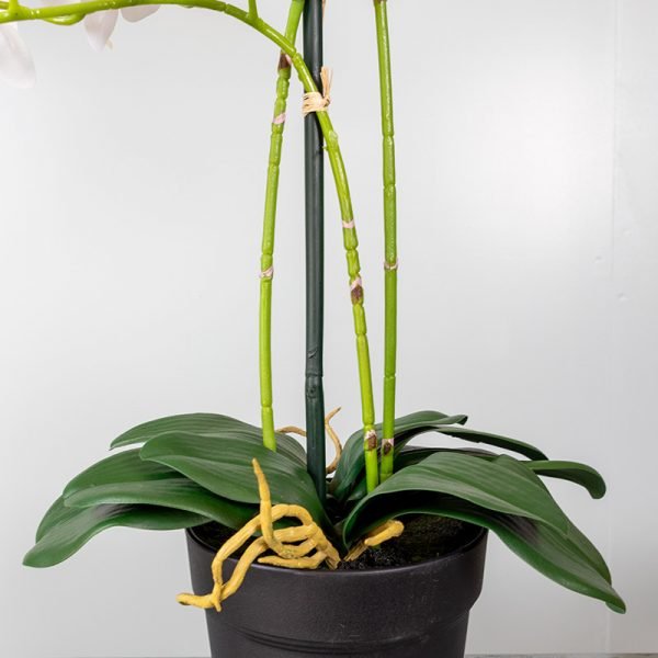 Kunstplant Orchidee Phalaenopsis 3-tak wit 63 cm stam