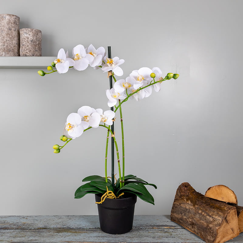 Kunstplant Orchidee Phalaenopsis 3-tak wit 63 cm