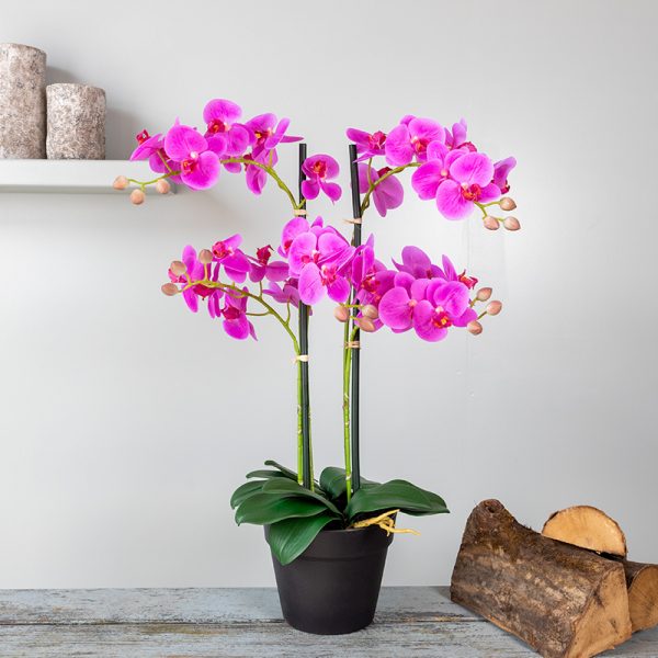 Kunstplant Orchidee Phalaenopsis XL 5-tak roze 68 cm