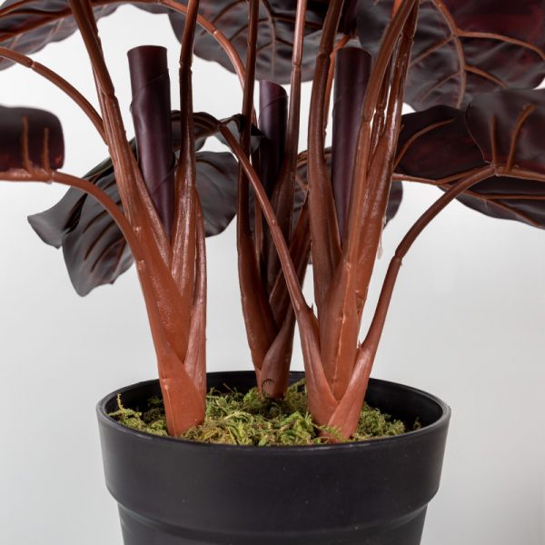 Kunstplant Calathea 45 cm stam