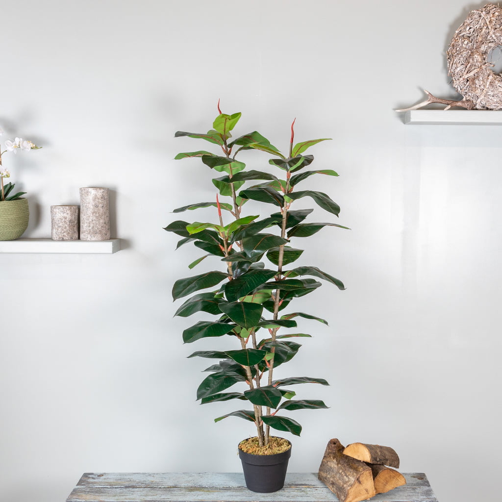 Kunstplant Ficus elastica 130 cm