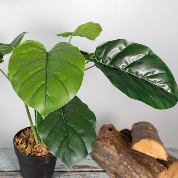 Kunstplant Philodendron 50 cm blad