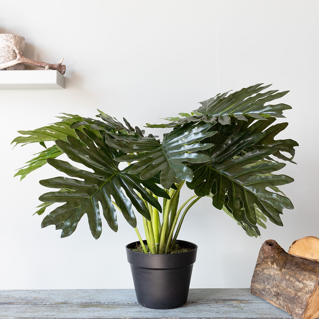 Kunstplant Philodendron Xanadu 55 cm