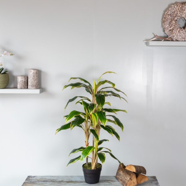 Kunstplant Cordyline Fruticosa 100 cm